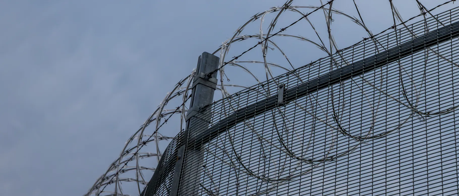 Barbed wire fencing