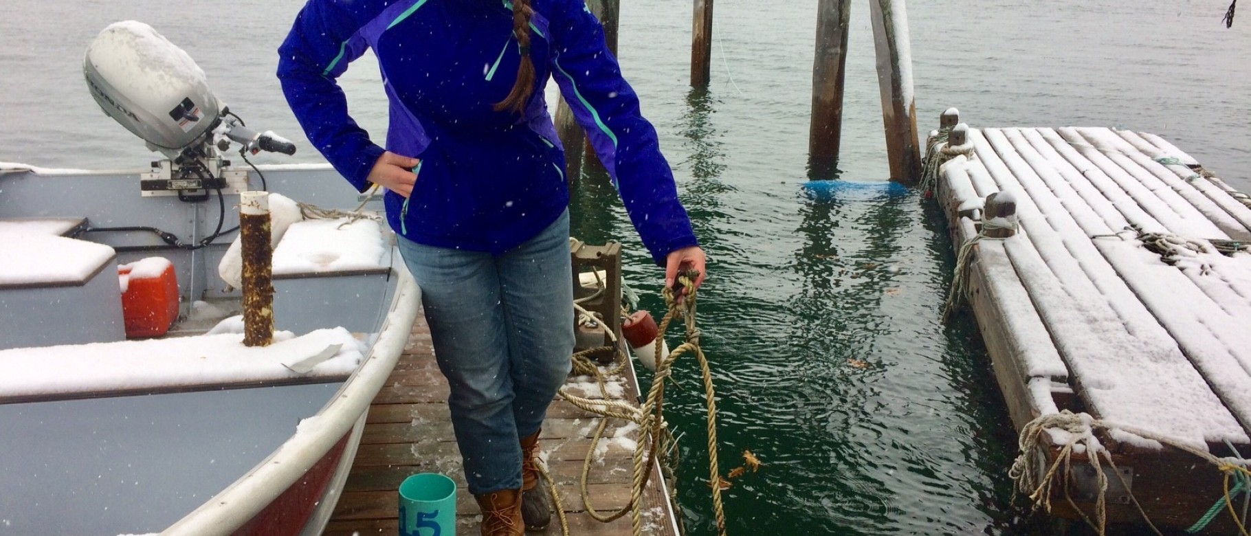 Baxter Academy's Darcy Ross helps deploy a kelp farm to assist UNE student researchers in Kelp4Kids program