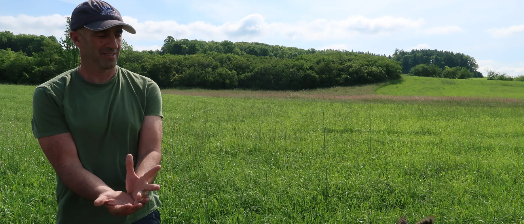 Noah Perlut releases an adult bobolink after banding it