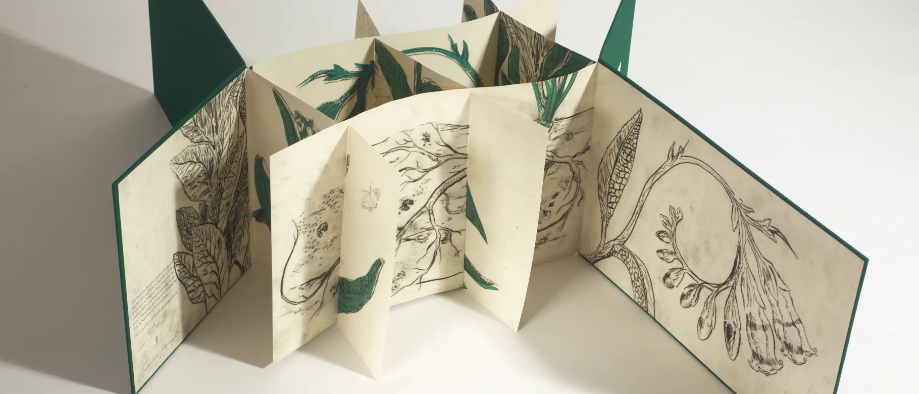 UNE's Stephen Burt recently had works on display at the Maine Media Workshop Gallery