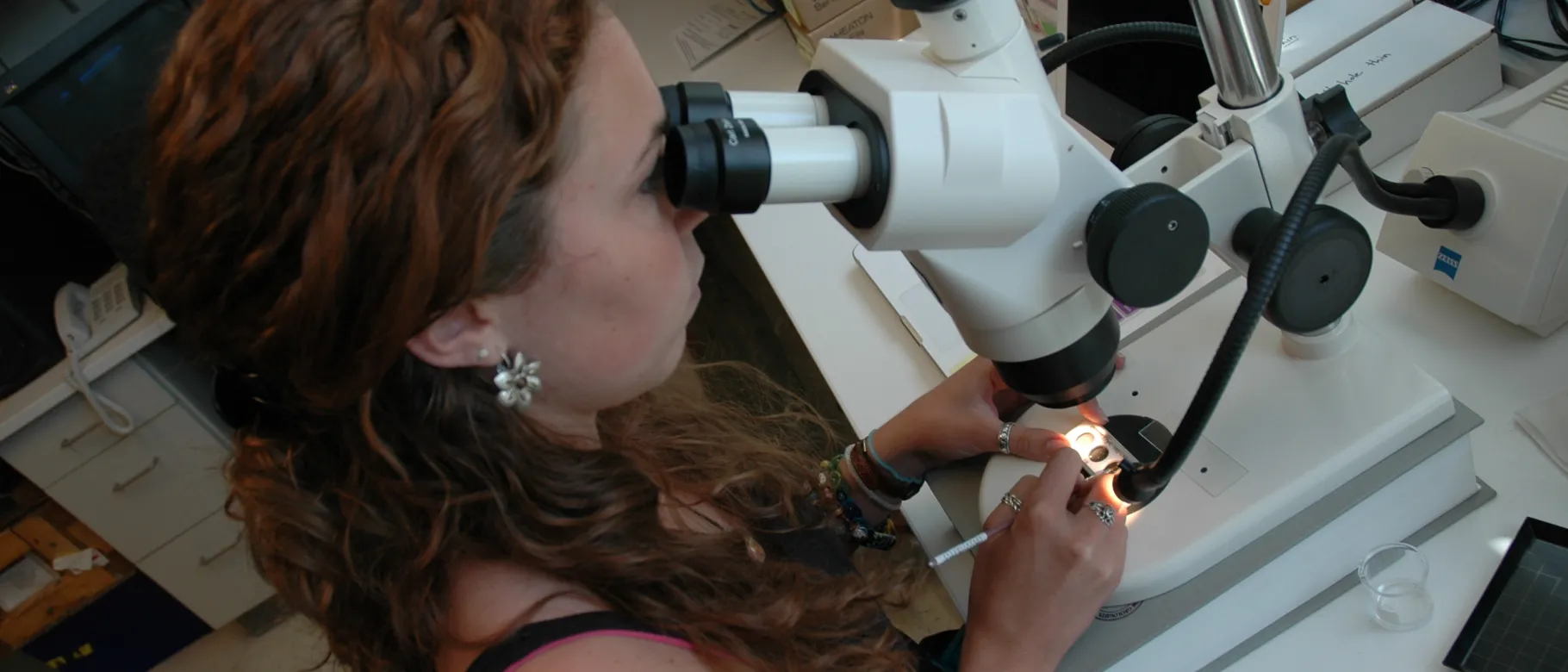 UNE research
