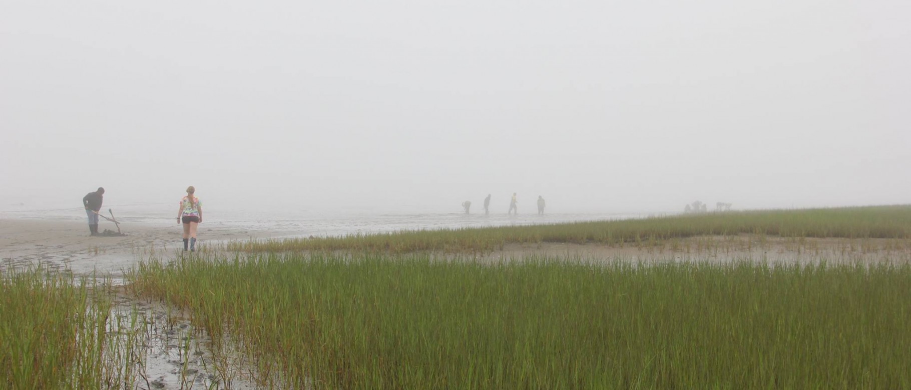 Early College students in the Coastal Marine program get their hands (and feet) dirty while studying the mud flats
