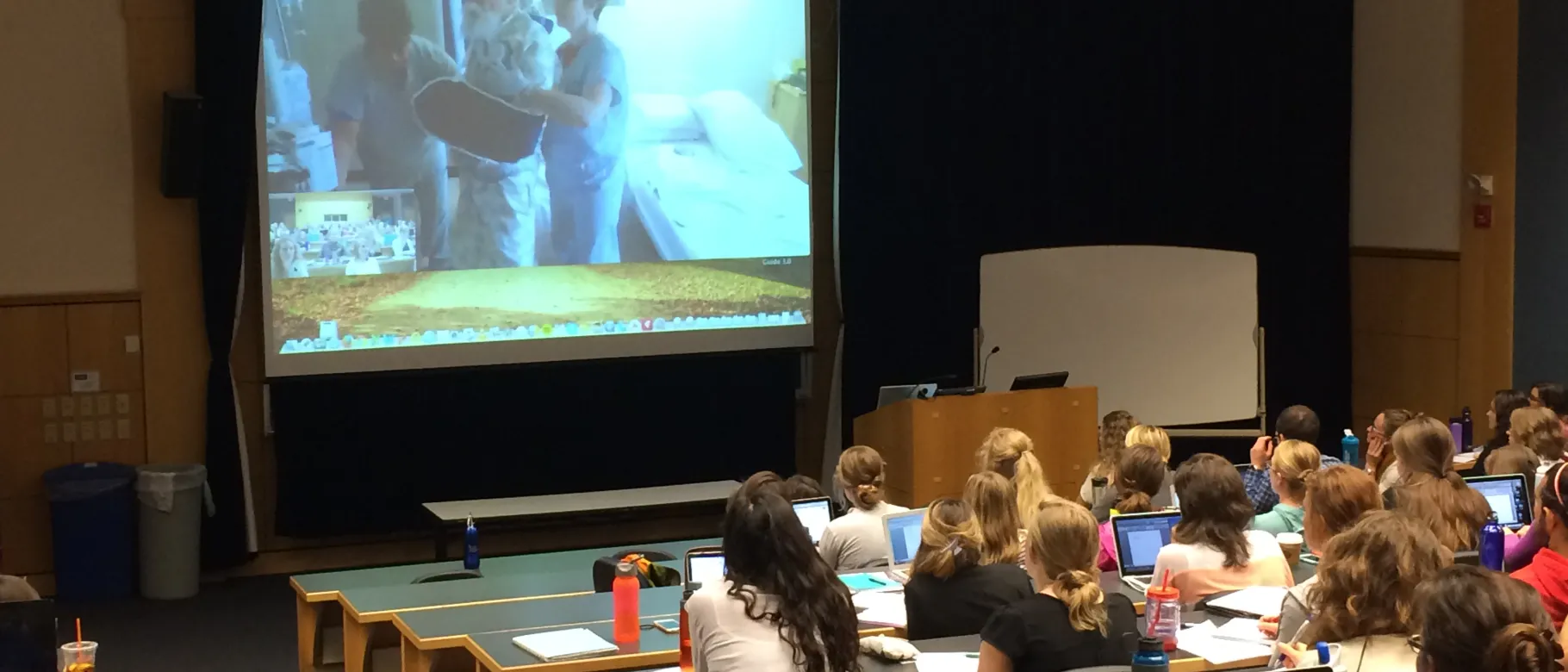 Teleteaching gives students the opportunity to work with real clinicians and patients