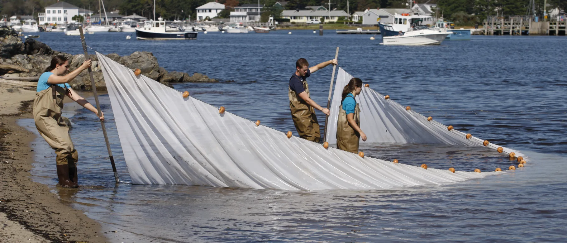 UNE Marine Sciences research