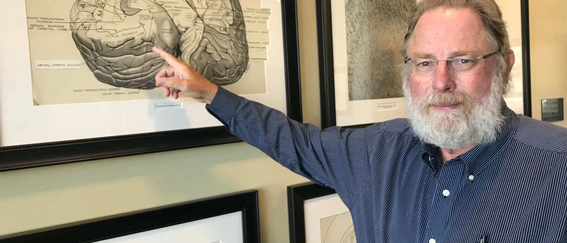 David Mokler in the Pickus Biomedical Research Center where some of Peter Morgane's work is on display