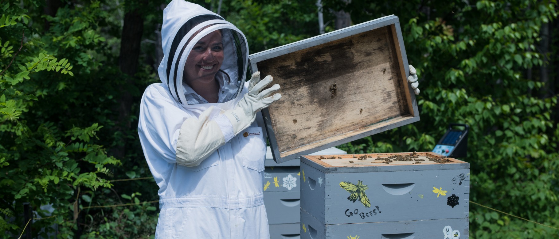 Elissa Kane '19 tends to UNE's honey bee hives as part of her summer internship with the University's Office of Sustainability. 