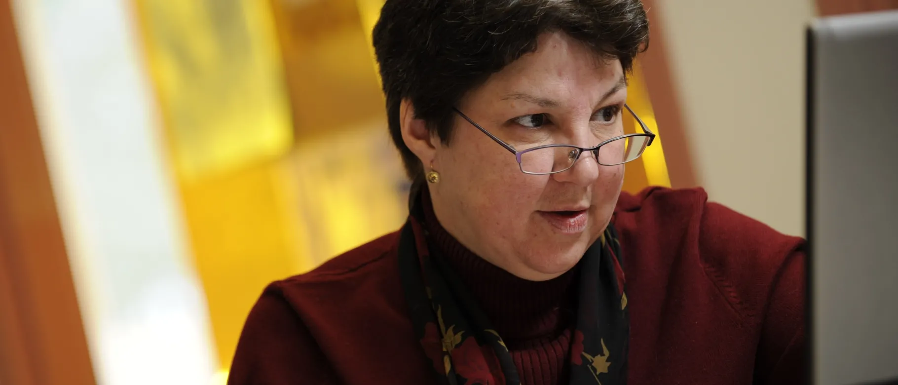 Elizabeth De Wolfe is the co-editor of a new book published on Digital UNE