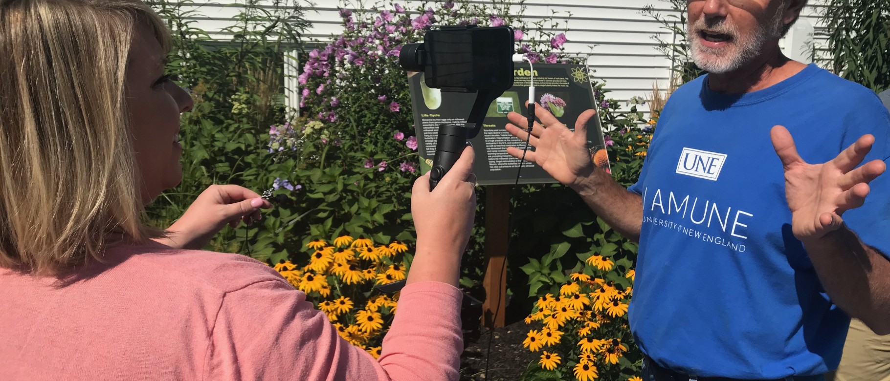 NEWS CENTER Maine's Beth McAvoy interviews Tom Klak next to UNE's monarch garden