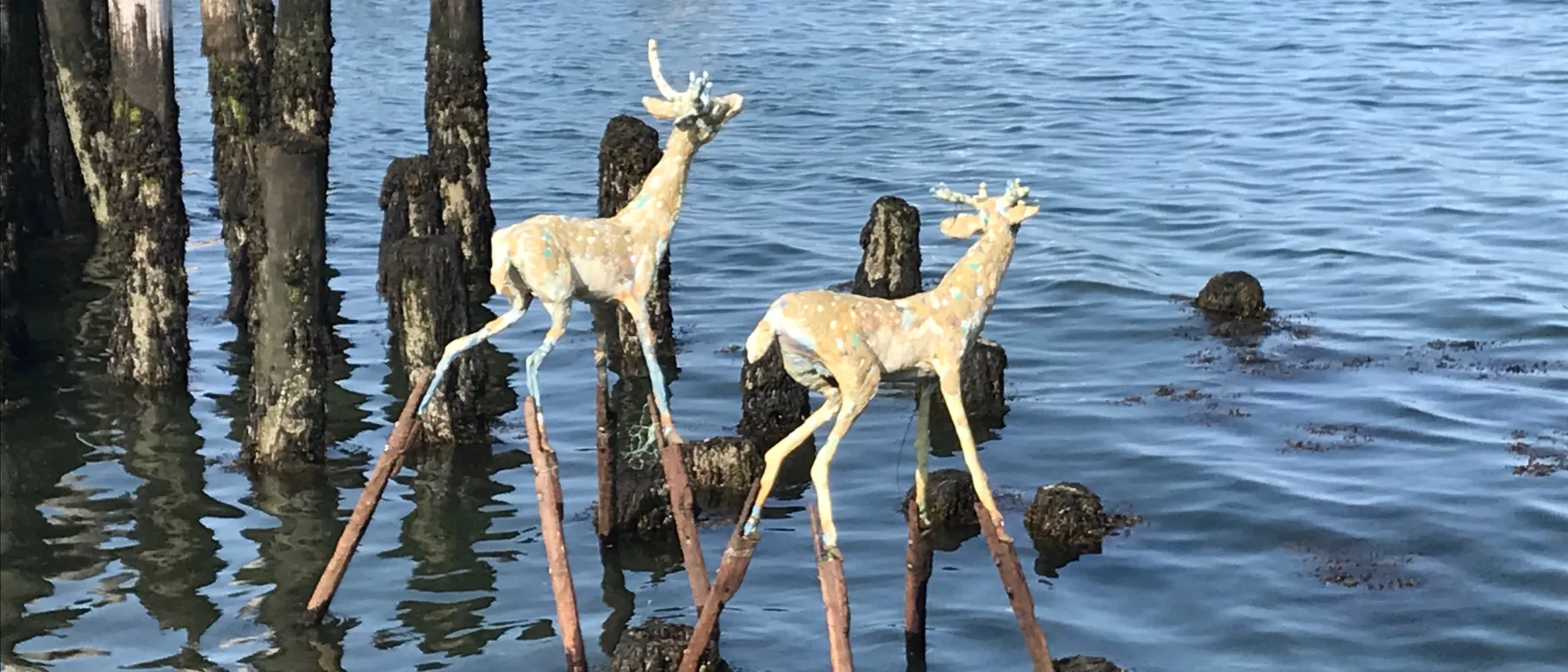 Andy Rosen recently unveiled his public art display TREAD next to Ocean Gateway in Portland