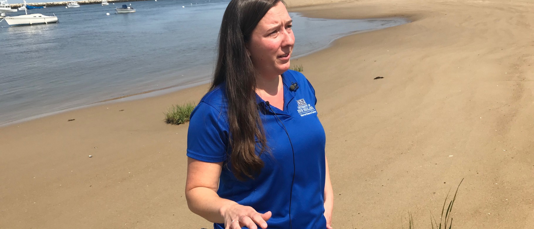 Alicia Williams discusses recent seal deaths with WGME and WMTW