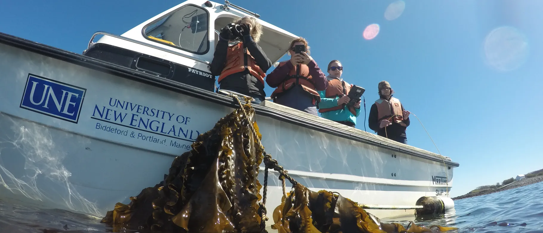 UNE receives Department of Energy grant for new technologies for seaweed production