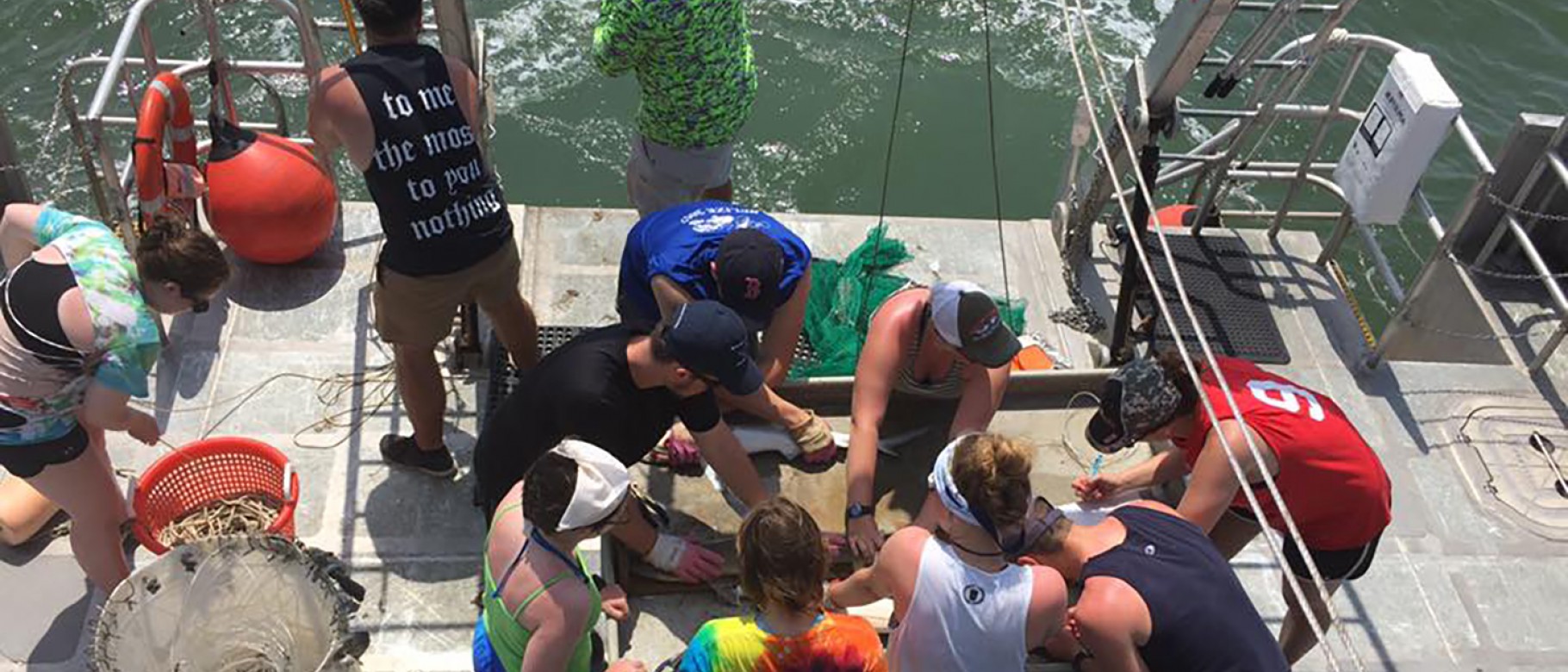 Students from UNE study sharks off the Gulf Coast
