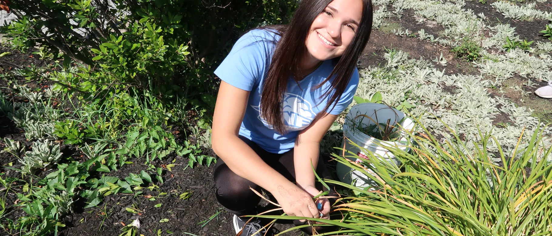 More than 600 incoming freshmen learned about their new city by volunteering at several locations