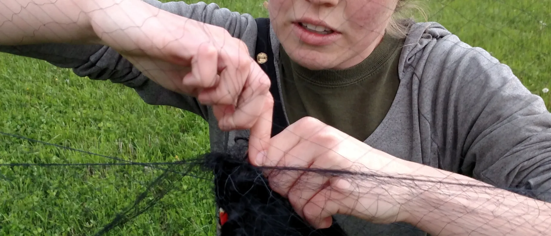 Environmental Studies and Biology student Jenna Cava's thesis was recently published in a scientific journal