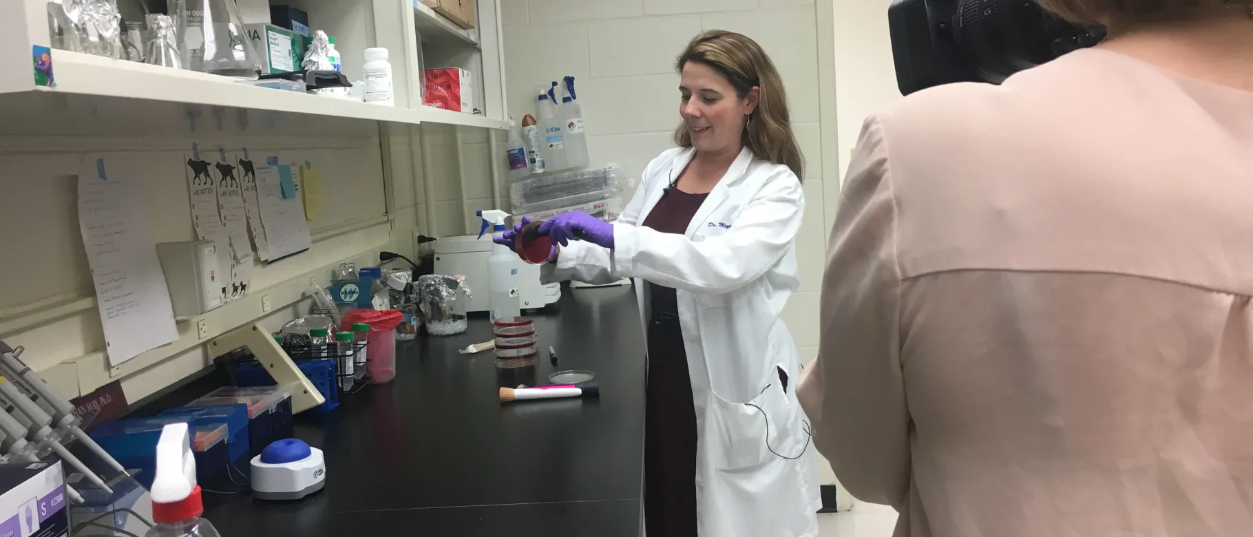 Meghan May tests a makeup brush for bacteria