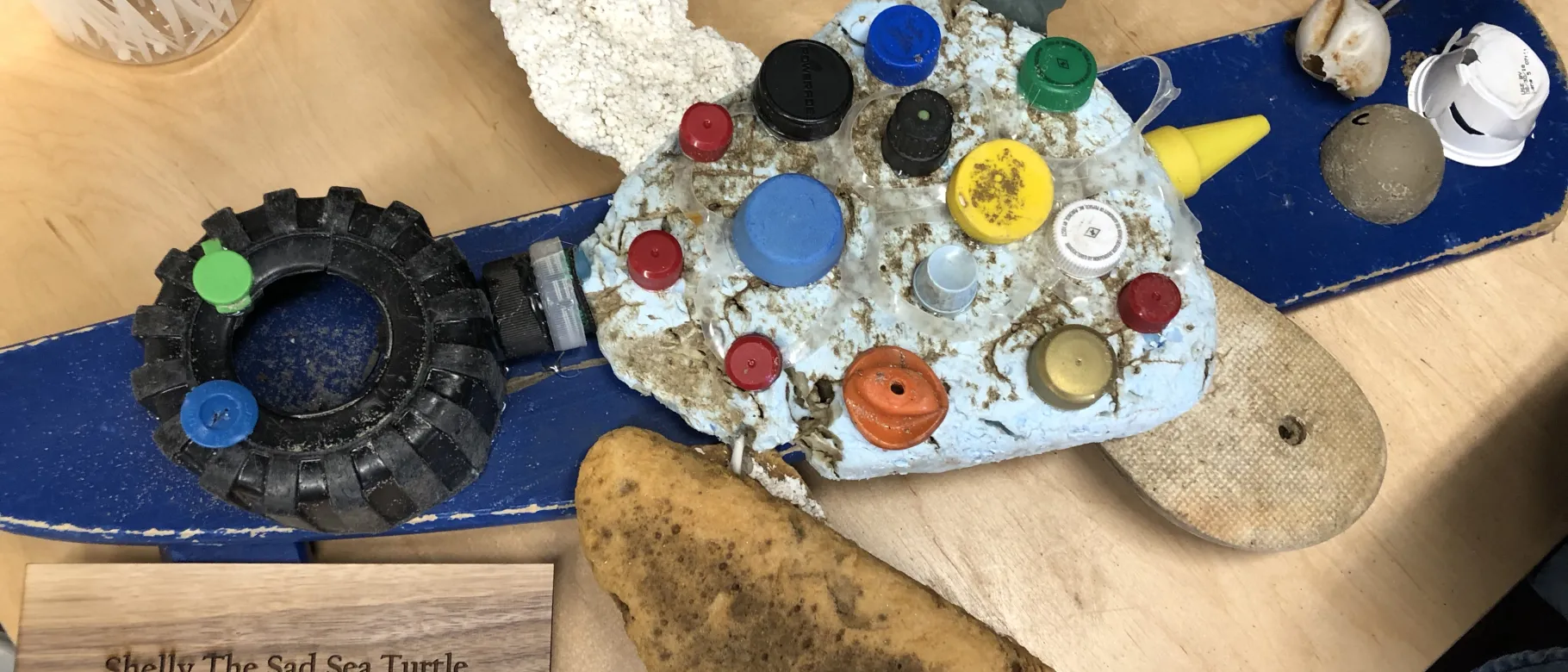 "Shelley the Sad Turtle" sculpture created with marine debris