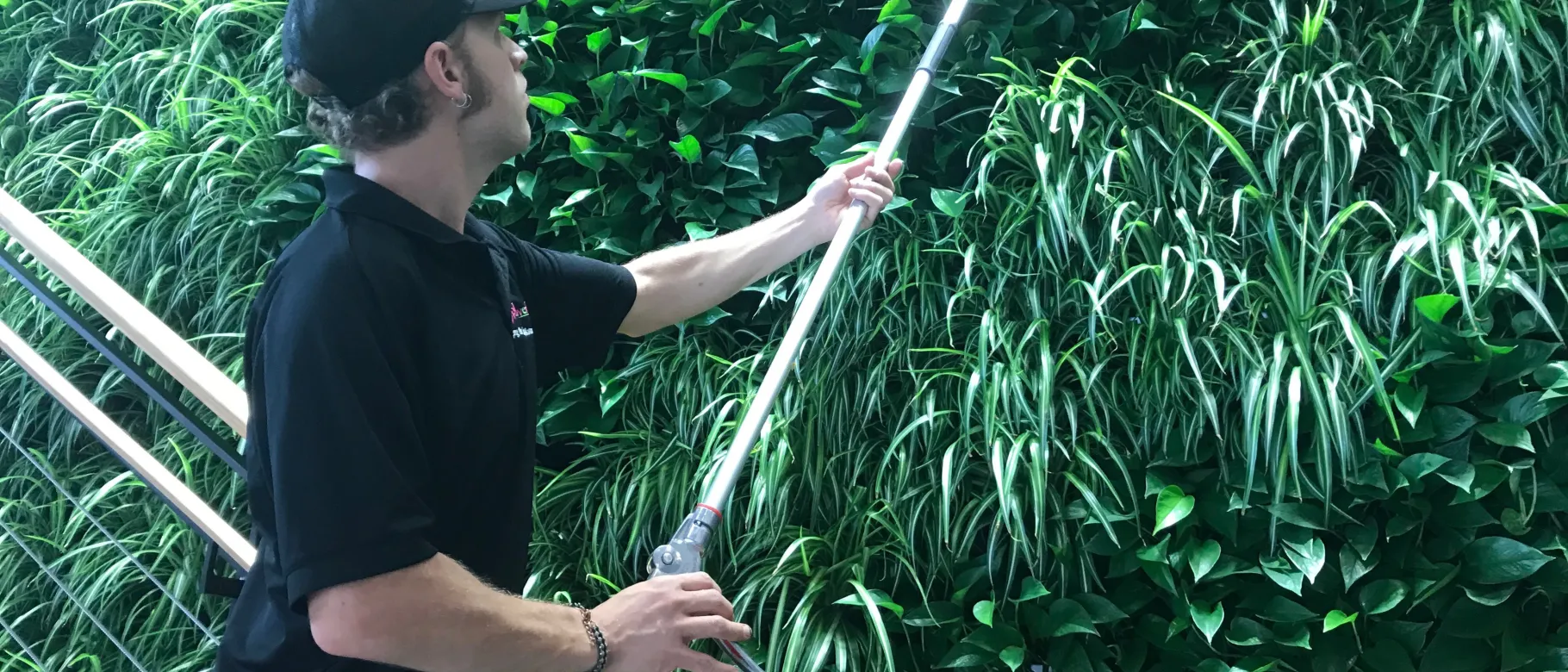 Jeff Ruby-Pinkham of Plantwerks tends to UNE's living wall