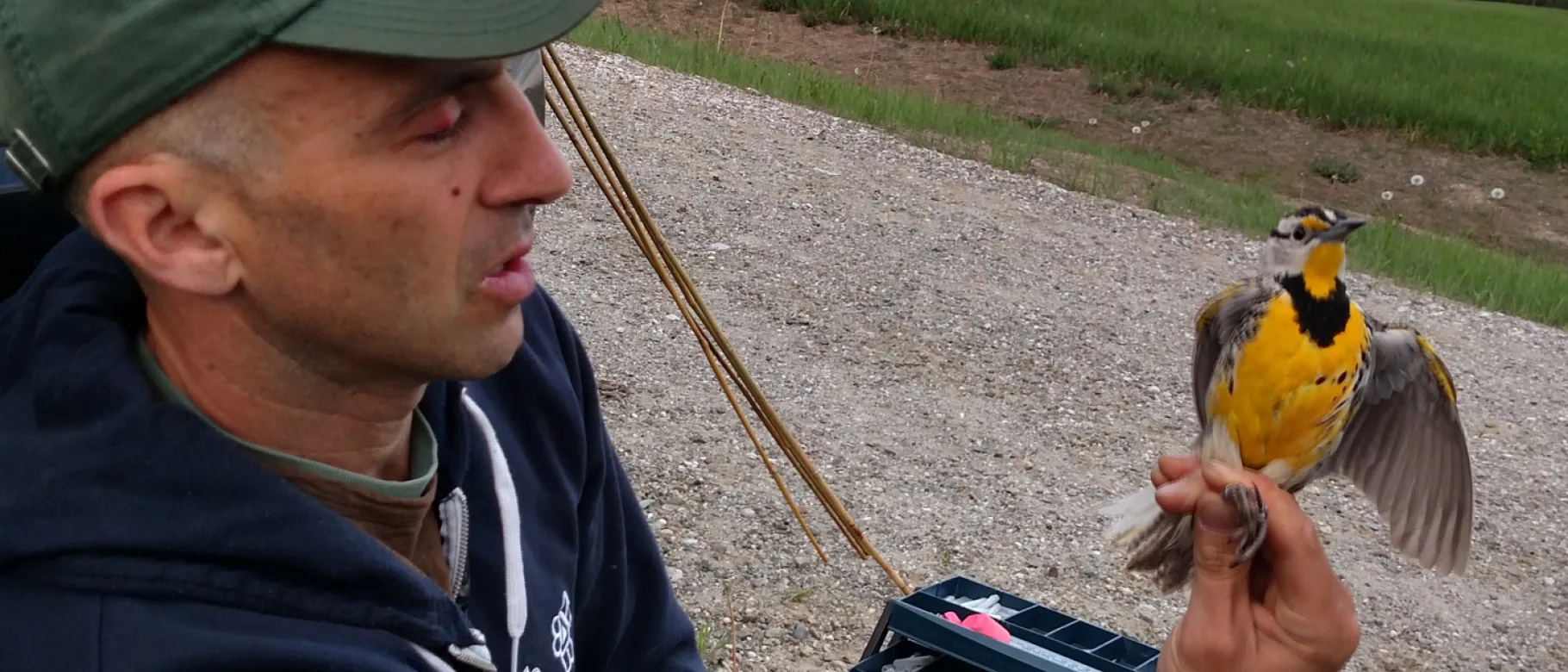 Noah Perlut holding a meandowlark