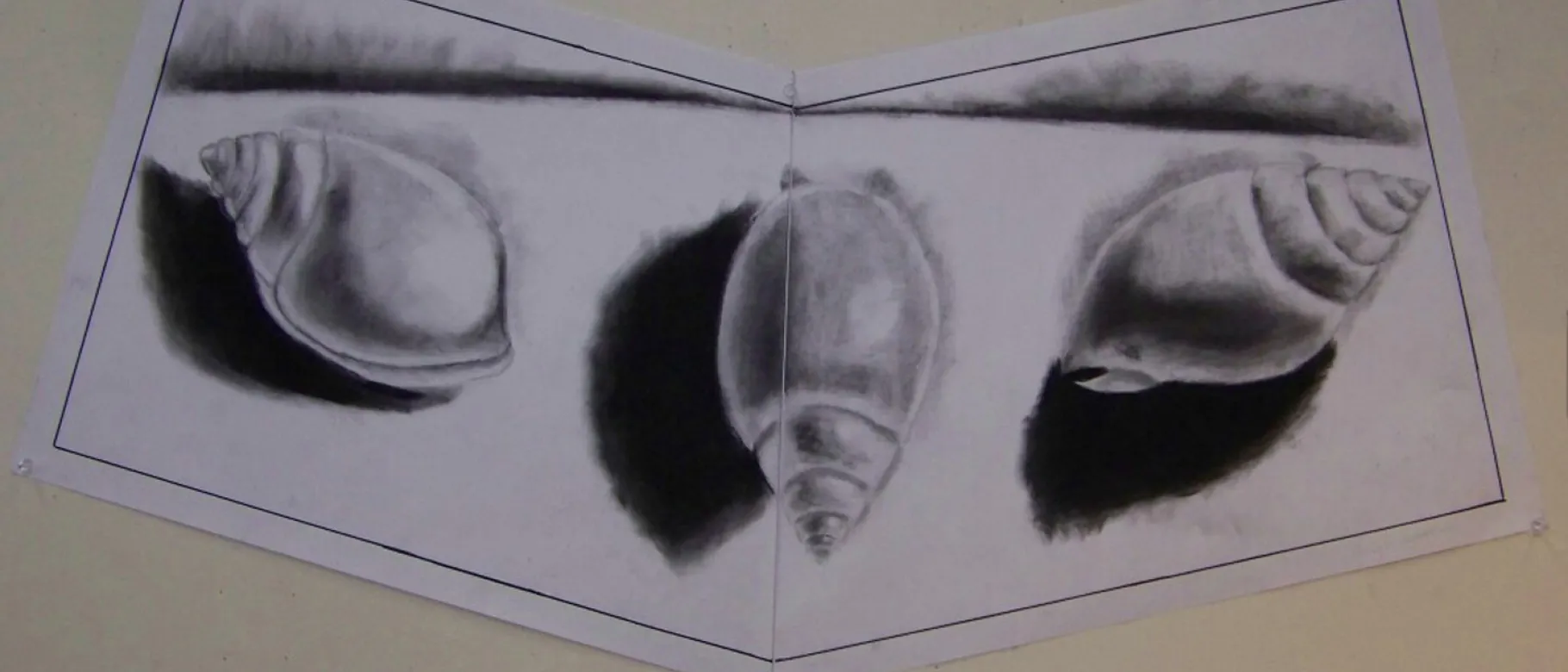 Charcoal drawing by Emaleigh Aschbrenner