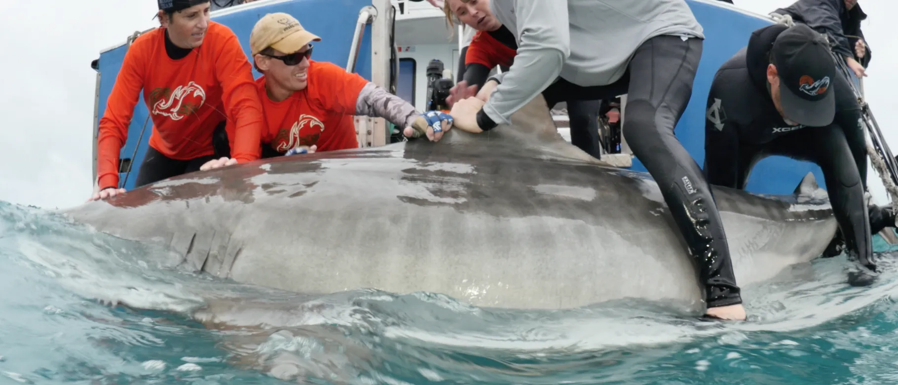 James Sulikowski and University of Miami researchers