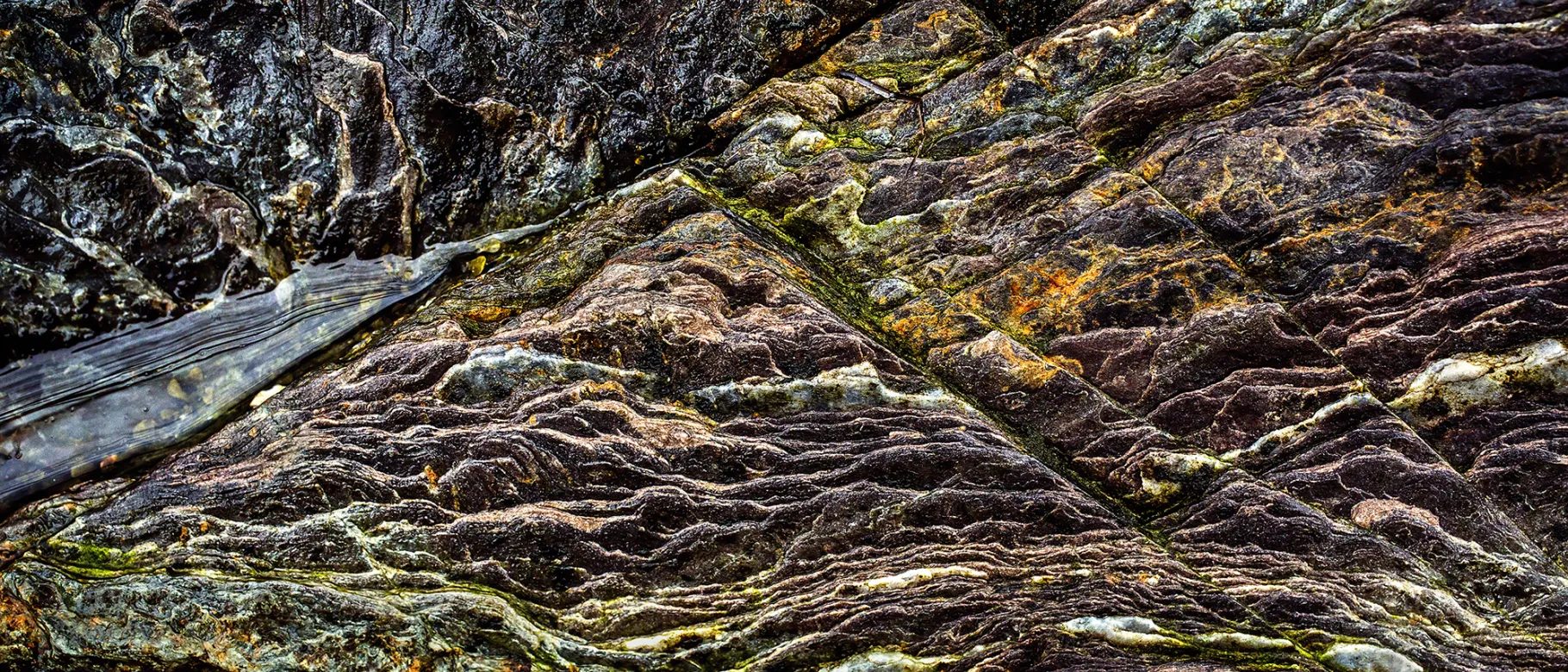Tim Greenway's exhibit “Mackworth Island Transformed: Rocks Reimagined” is now on display