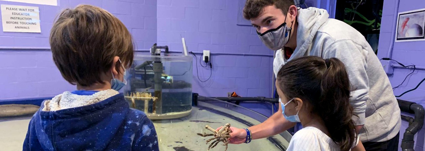 U N E Animal Behavior and Marine Science student Will Szumita helps elementary children at an aquarium during his summer internship