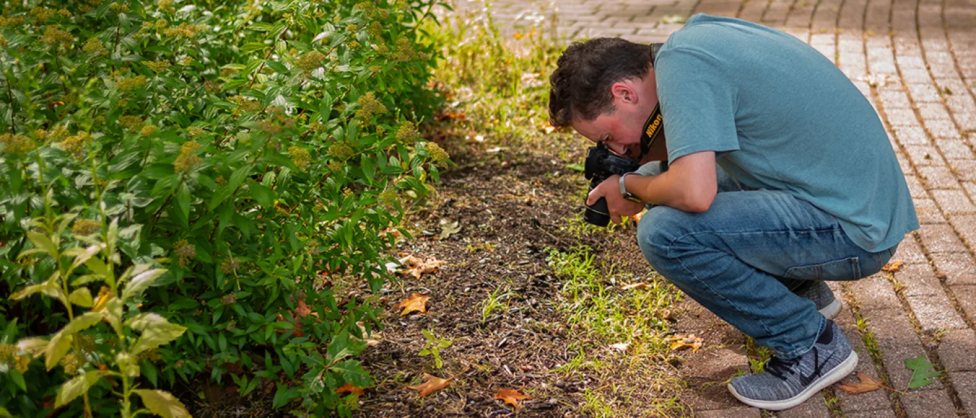 A U N E liberal arts student bends over to take a photo graph of plants on campus