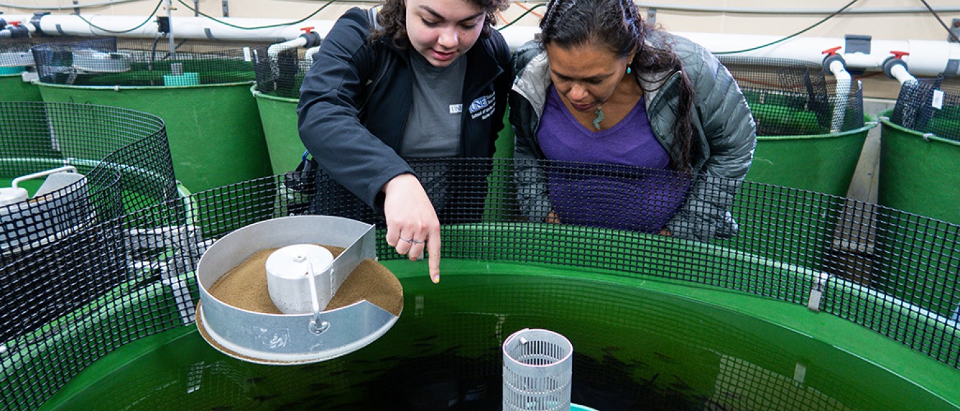 two U N E students examine an aquaculture tank