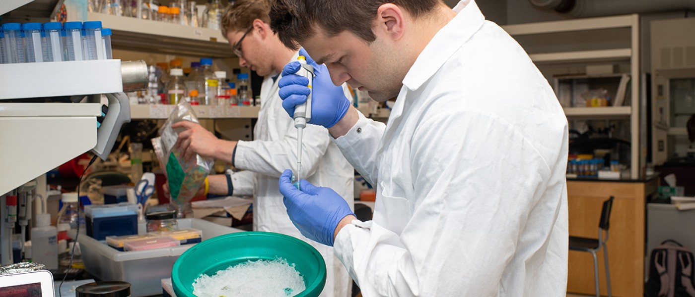 Two students working in a research lab