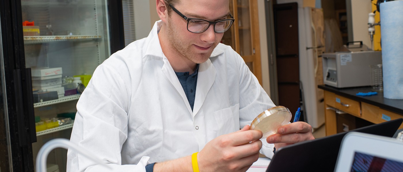 A student looks at a petri dish