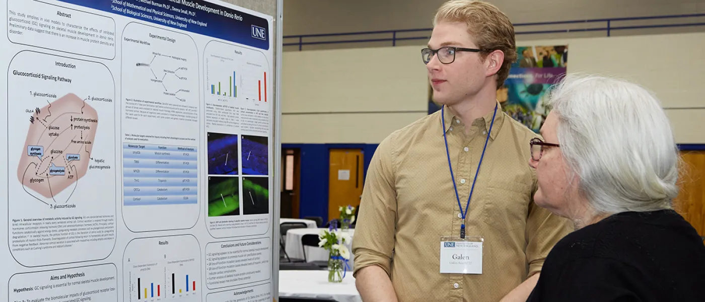 A student speaks about their poster presentation