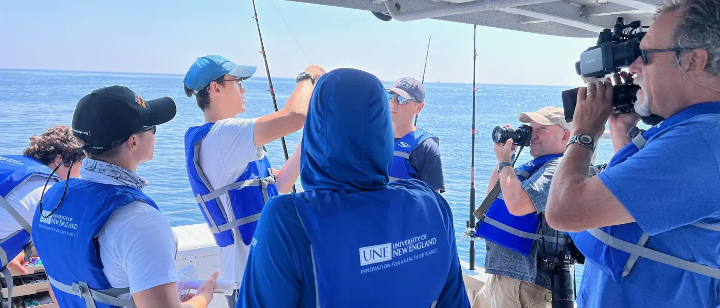 Shark bycatch reduction research