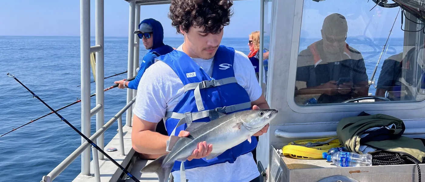 Shark bycatch reduction research