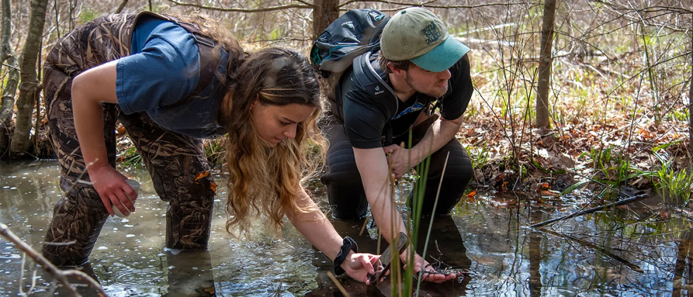 One student takes a photo of a mass of frog eggs in another student's hand while both stand in ankle-deep water in a forest
