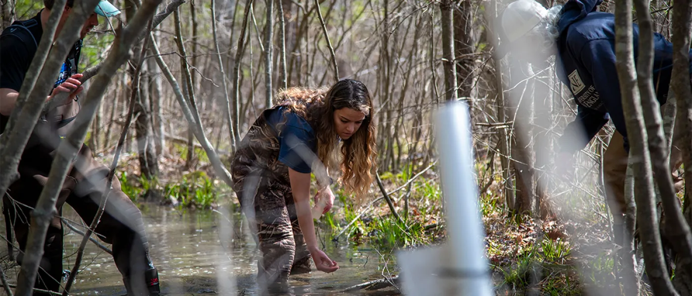 Three students in waiters walk through a vernal pool in a green forest