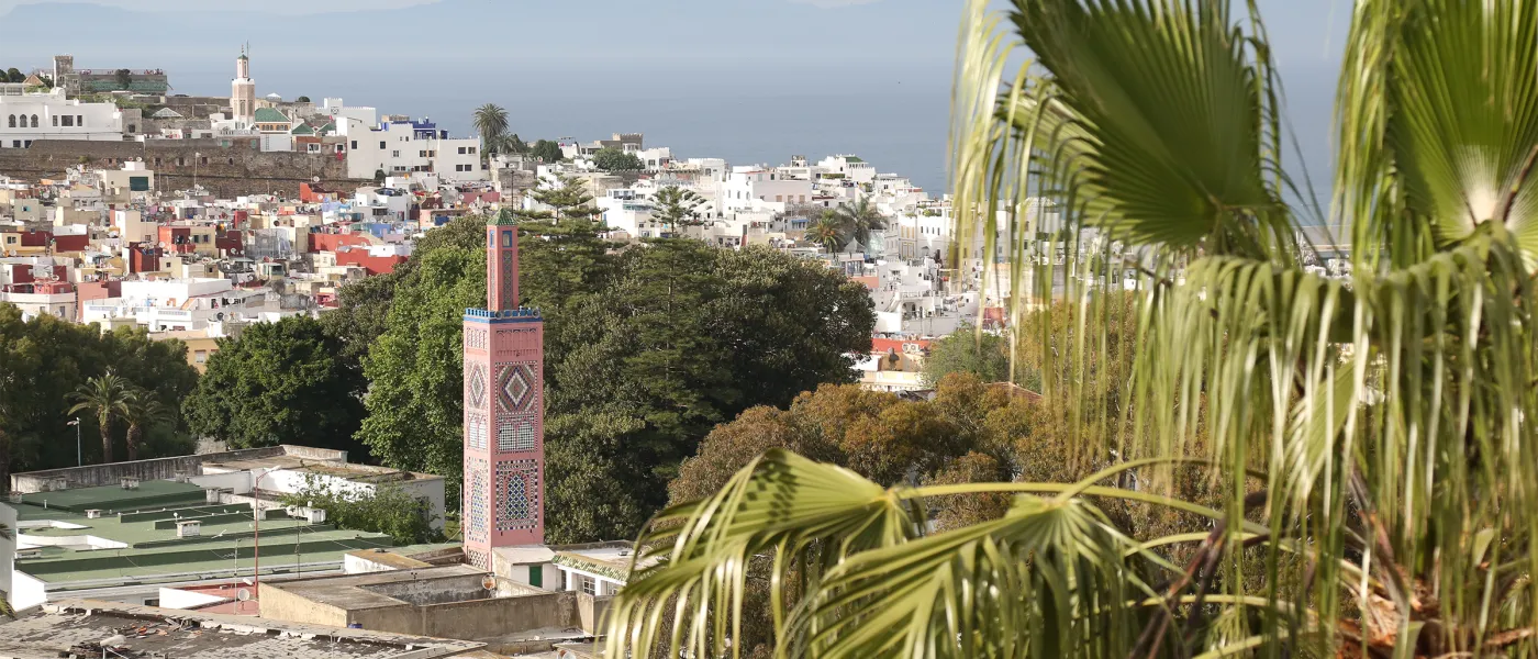 View framed by palm fronds showing ornate minaret tower with geometric tile patterns rising above trees and colorful residential buildings in Tangier.