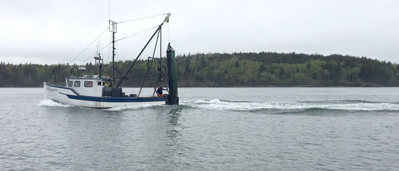 A boat on the water in Maine