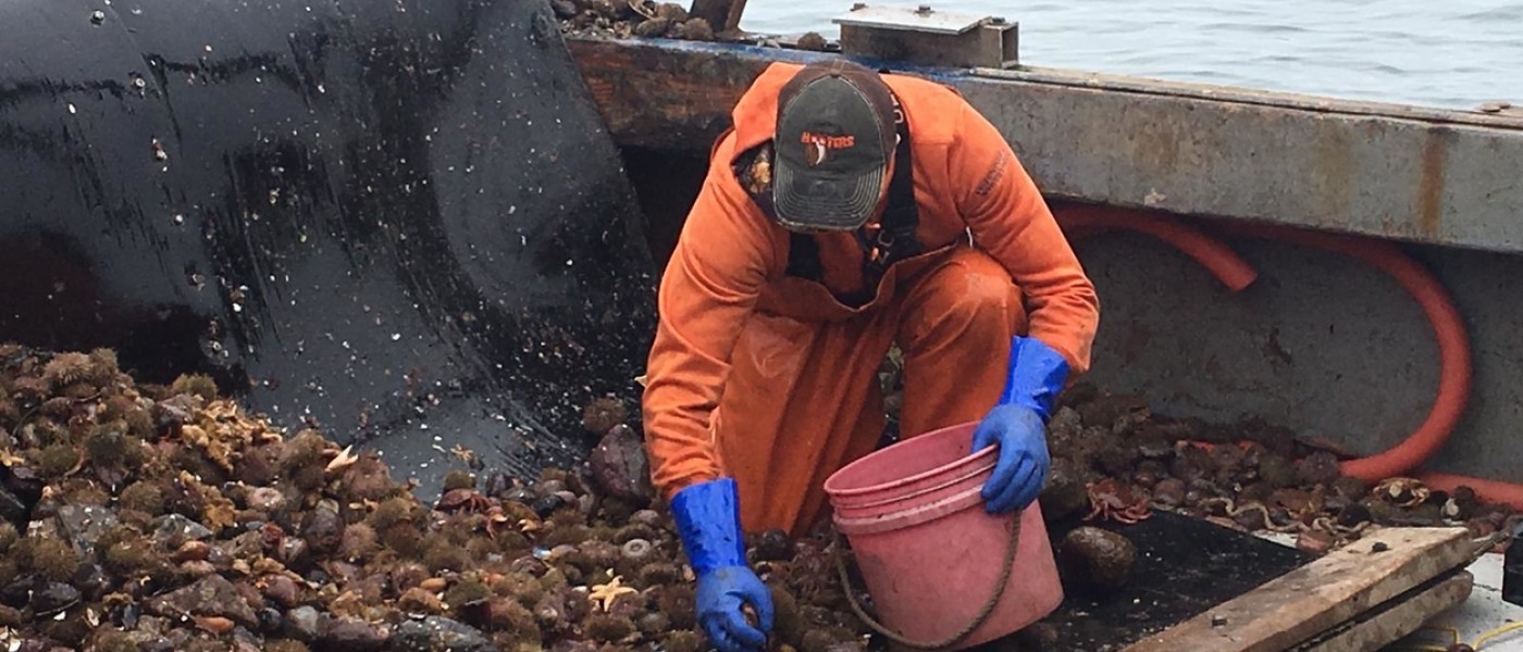 Student digs through a catch looking for crabs on a boat