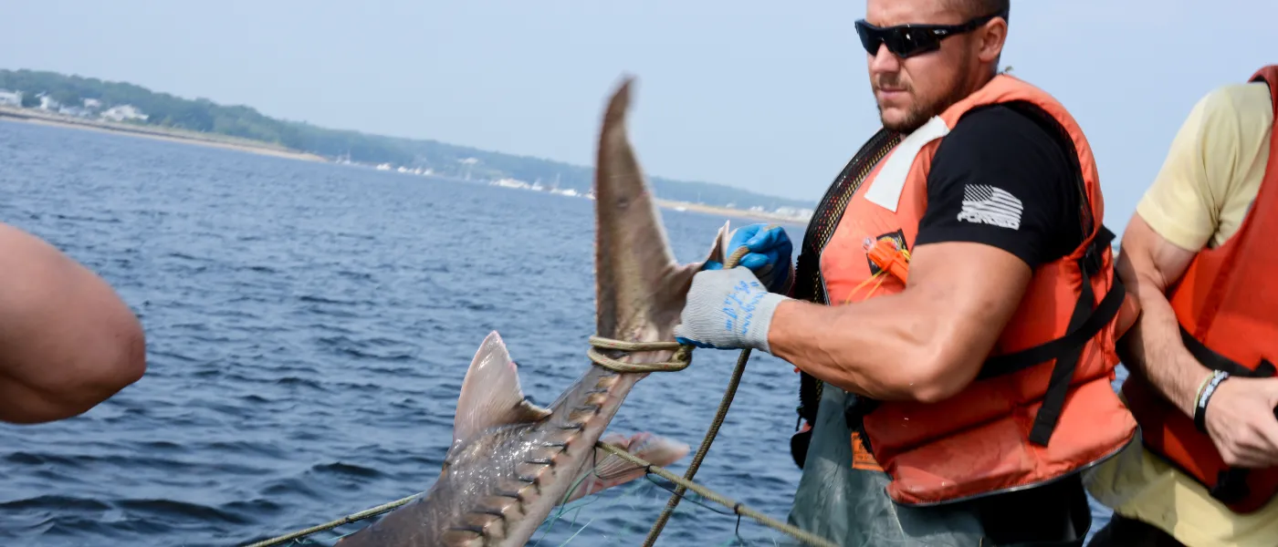 A male U N E student wearing a life jacket lifts a large fish by its tail 