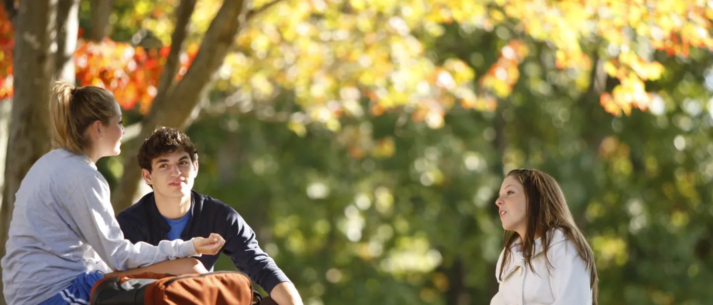 Three students sit outside studying on a sunny fall day