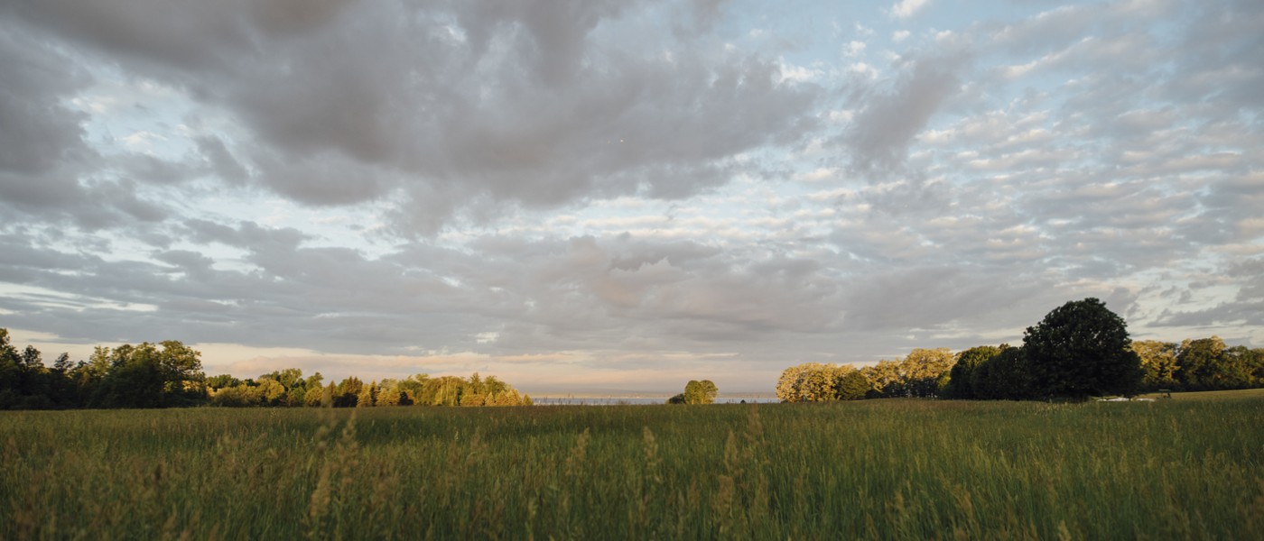 Vermont grasslands at sunrise