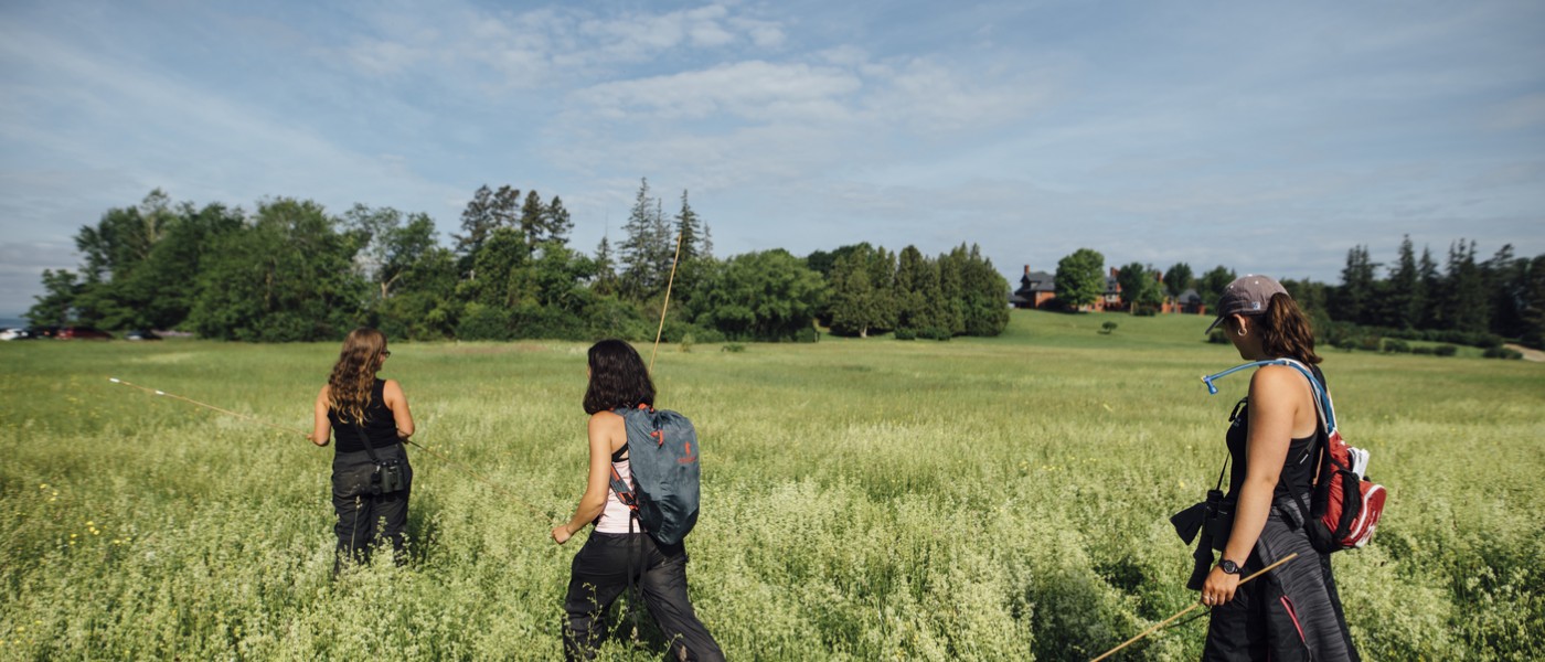 Student researchers walk through the grassy field in Vermont