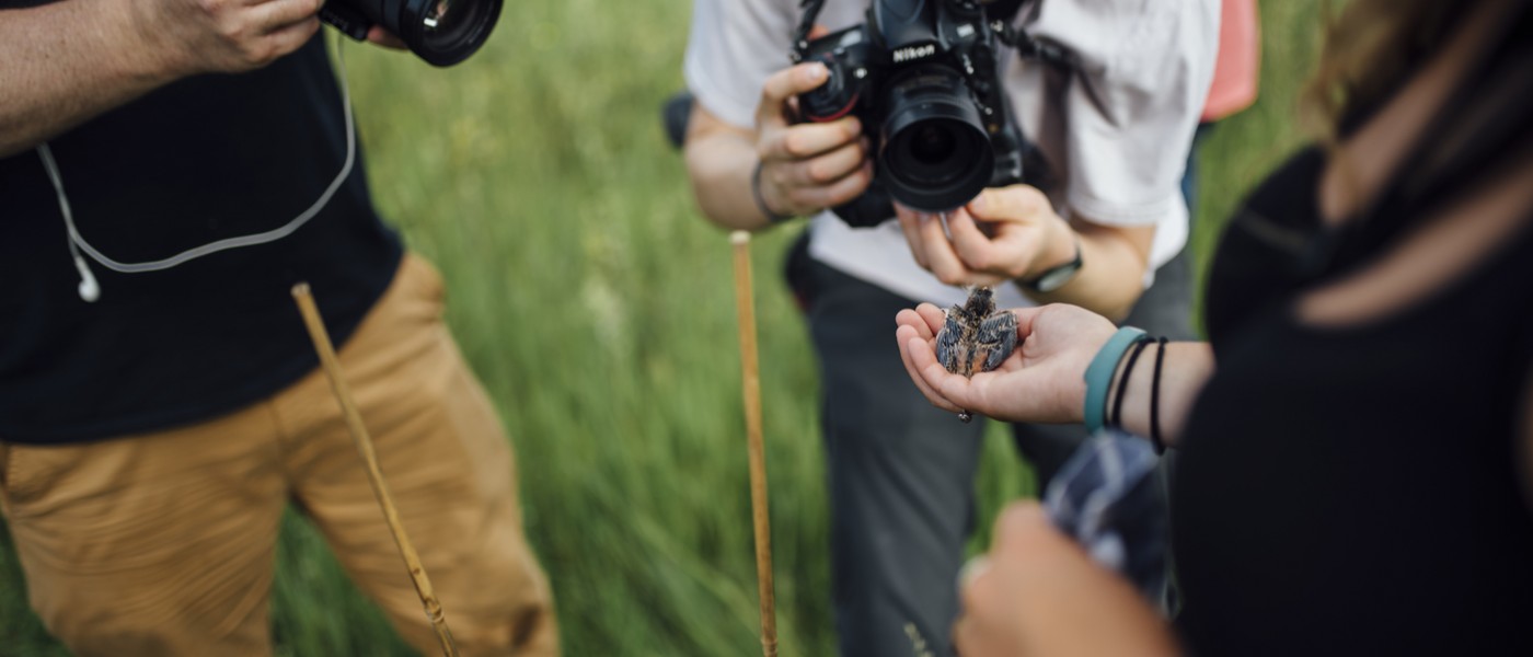 Photographers gather around a researcher holding a bobolink