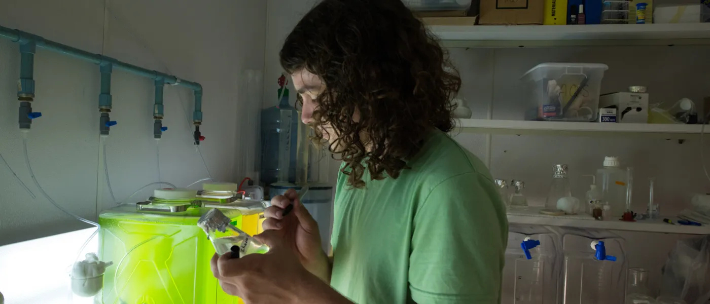 A male students works with aquaculture life indoors
