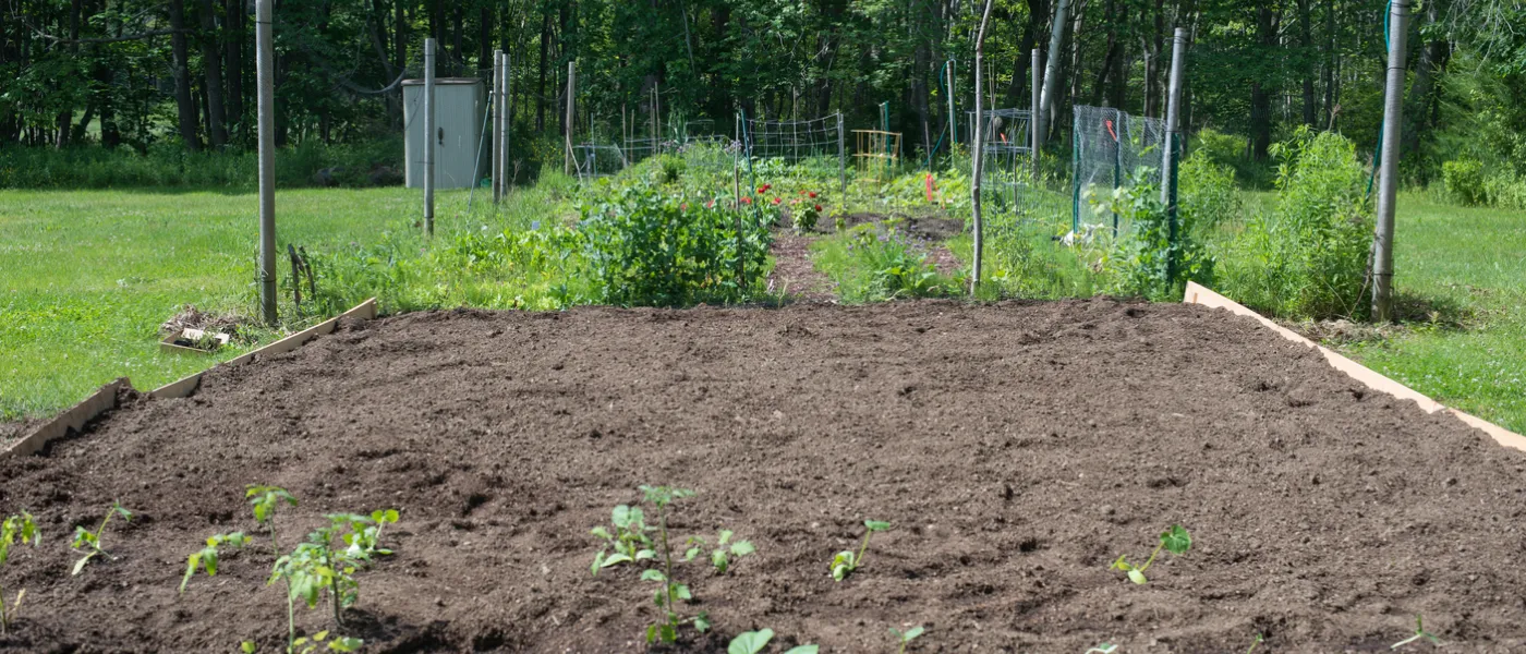 community garden planting