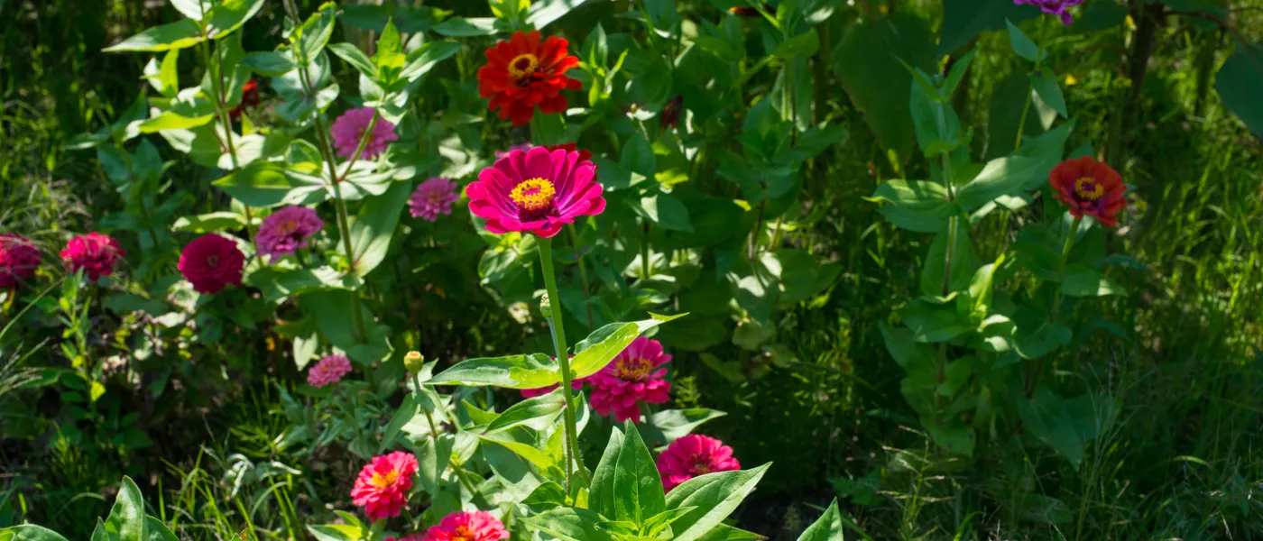 community garden florals