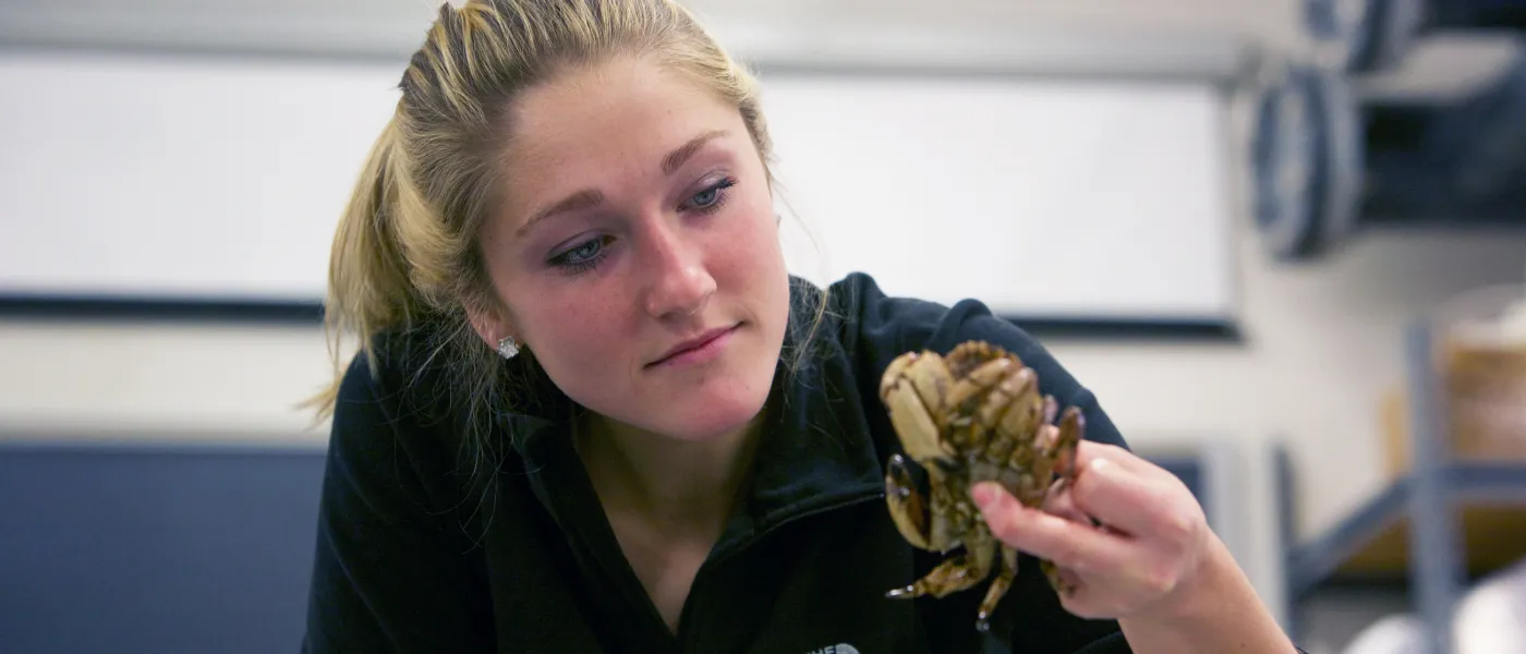 A female student examines a crab she is holding in U N E's Marine Science Center
