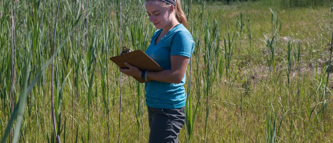 U N E student Hannah Buckley records observations in wetlands