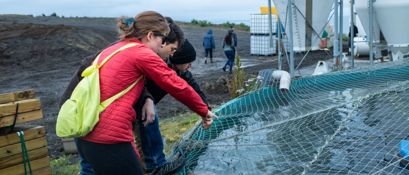 Students study an outdoor aquaculture facility in Iceland