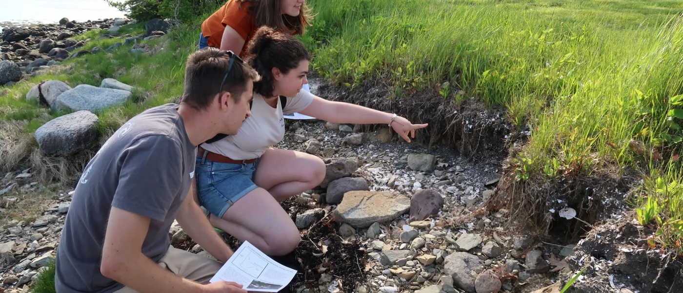 Three students study the beach
